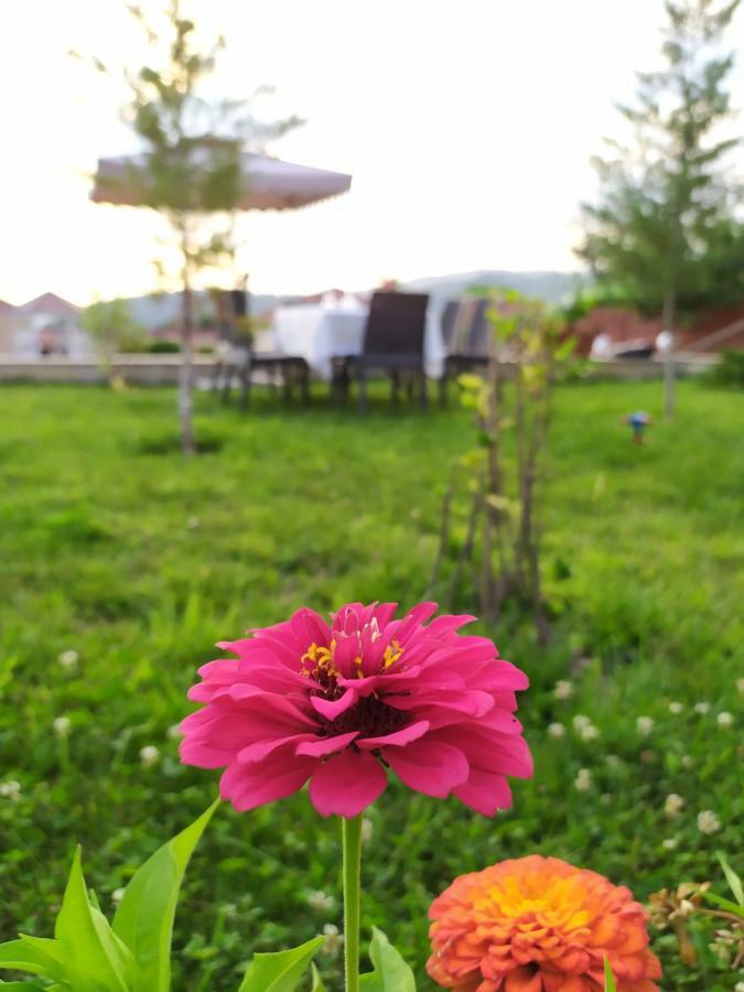 Bliss Inn Boutique Hotel Gabala Bagian luar foto