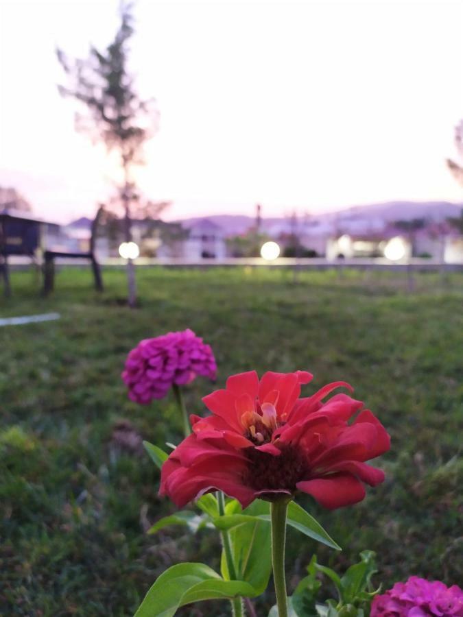 Bliss Inn Boutique Hotel Gabala Bagian luar foto